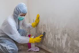 Best Emergency Mold Remediation  in South Coatesville, PA